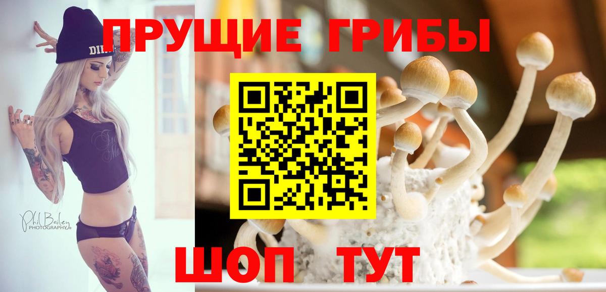 Галлюциногенные грибы Psilocybe  Вход с VPN  Малоярославец 