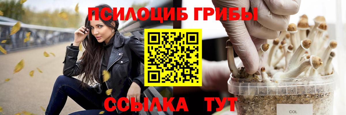 Галлюциногенные грибы мицелий Малоярославец